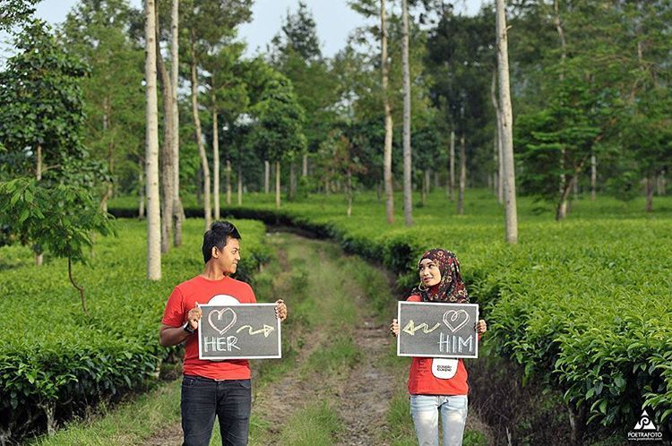 Detail Foto Prewedding Di Kebun Teh Nomer 24