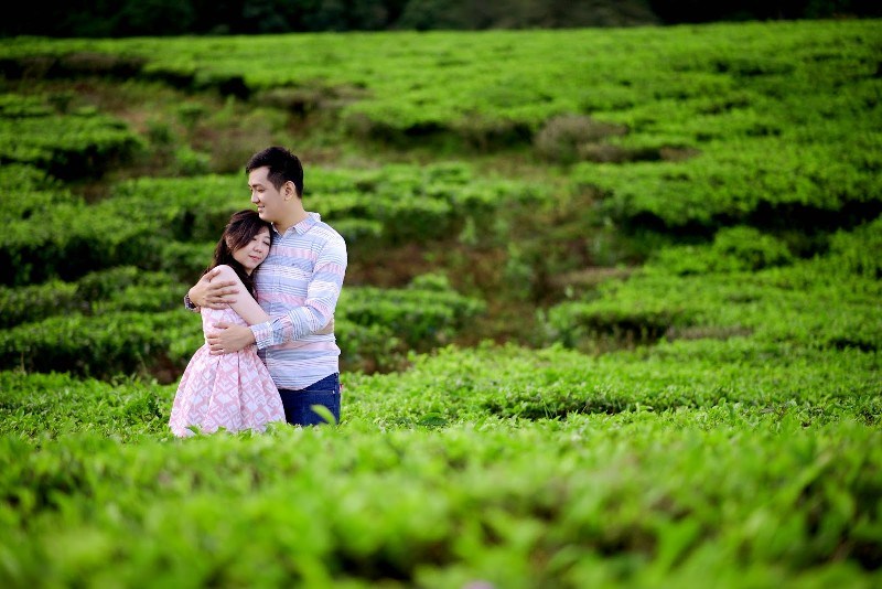 Detail Foto Prewedding Di Kebun Teh Nomer 33