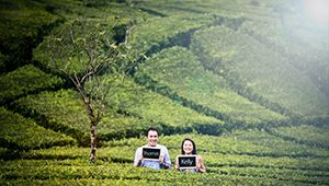 Detail Foto Prewedding Di Kebun Teh Nomer 35