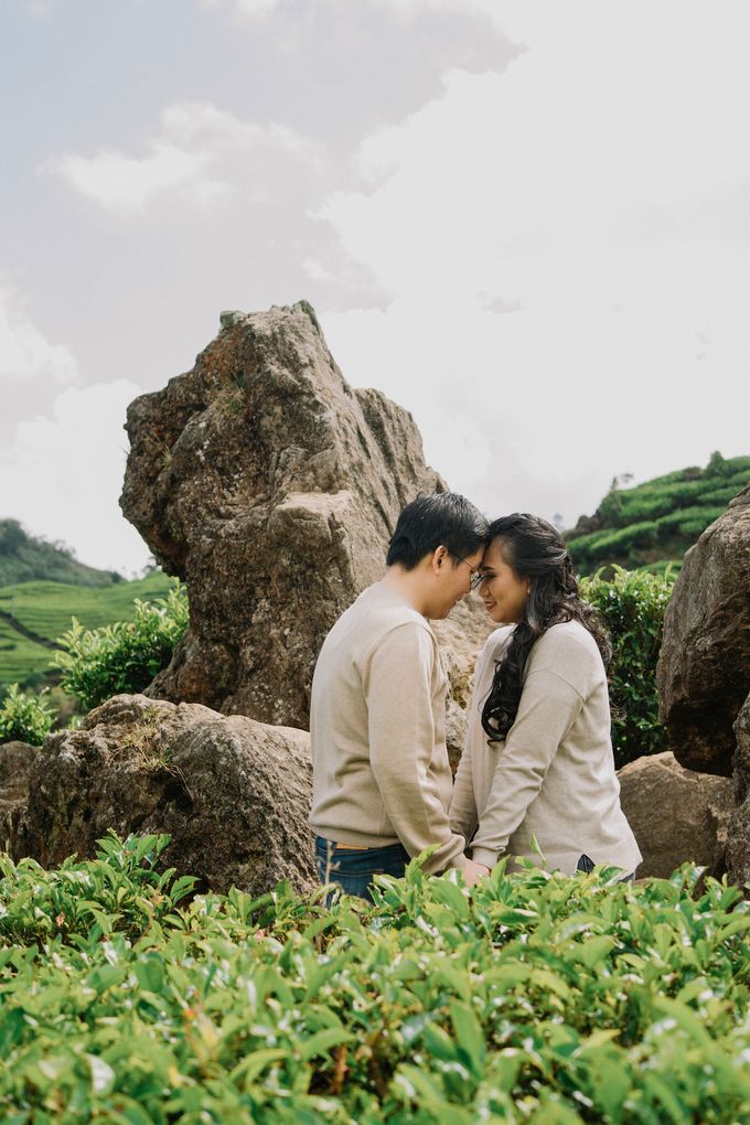 Detail Foto Prewedding Di Kebun Teh Nomer 38