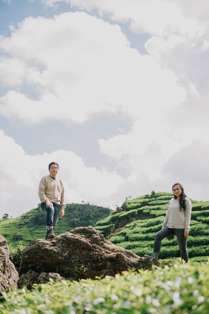 Detail Foto Prewedding Di Kebun Teh Nomer 47