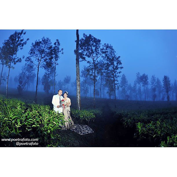 Detail Foto Prewedding Di Kebun Teh Nomer 49