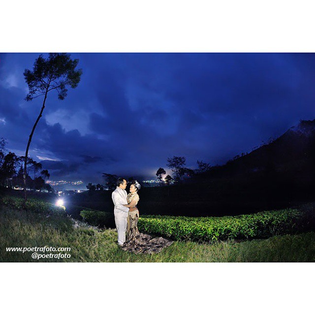 Detail Foto Prewedding Di Kebun Teh Nomer 51