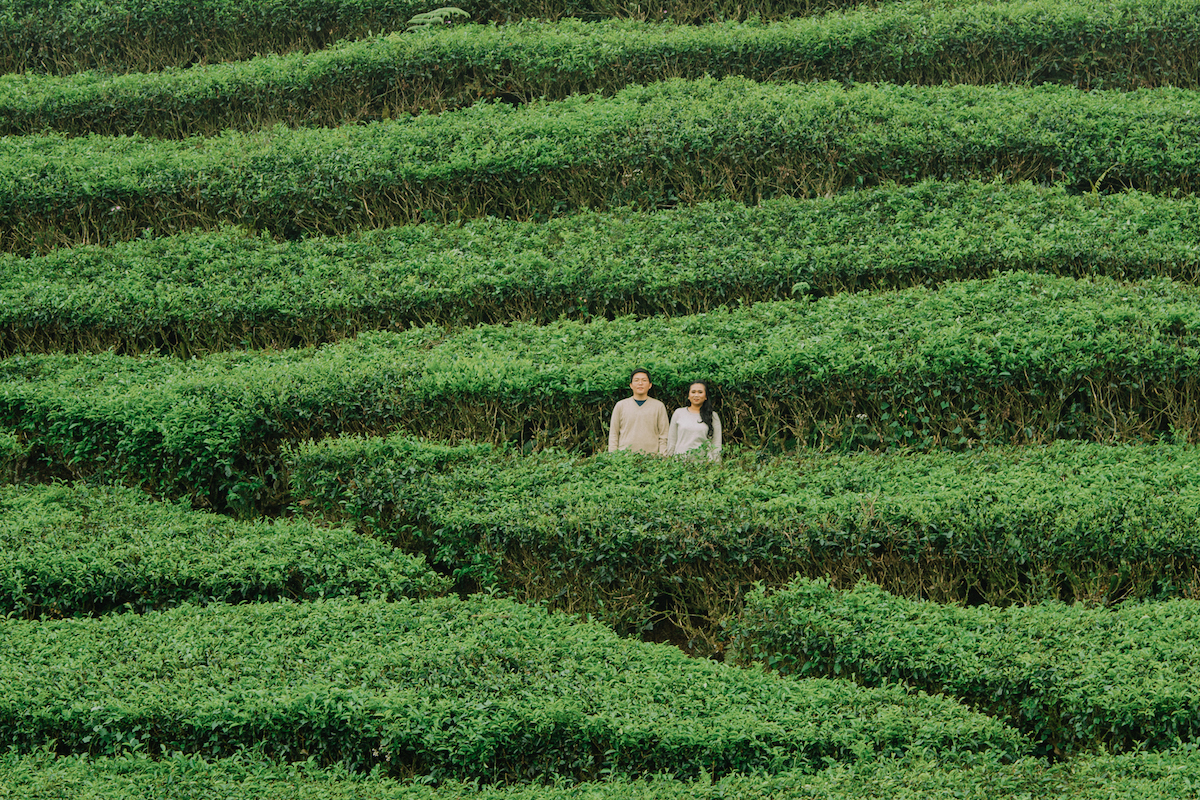 Detail Foto Prewedding Di Kebun Teh Nomer 10