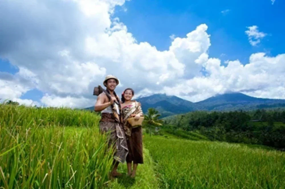 Detail Foto Prewedding Di Sawah Nomer 19