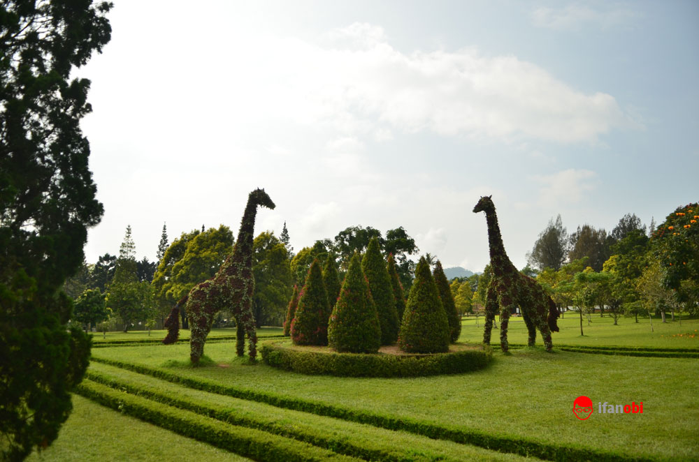 Detail Foto Prewedding Di Taman Bunga Nusantara Nomer 31