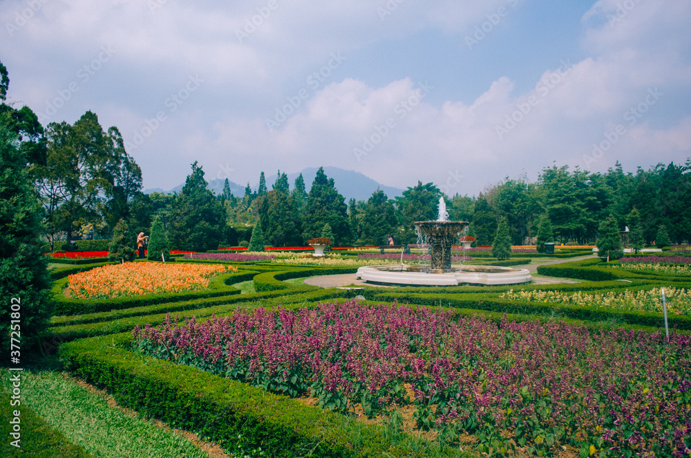 Detail Foto Prewedding Di Taman Bunga Nusantara Nomer 34