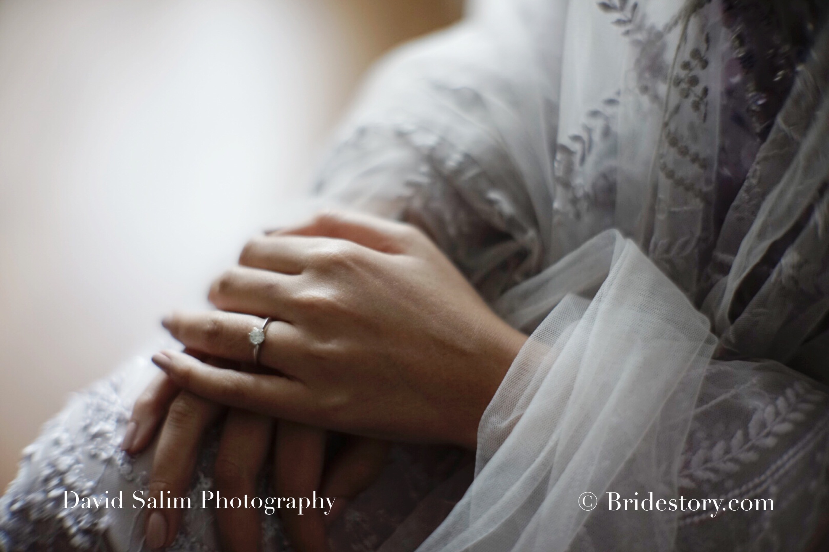 Detail Foto Prewedding Raisa Dan Hamish Nomer 40