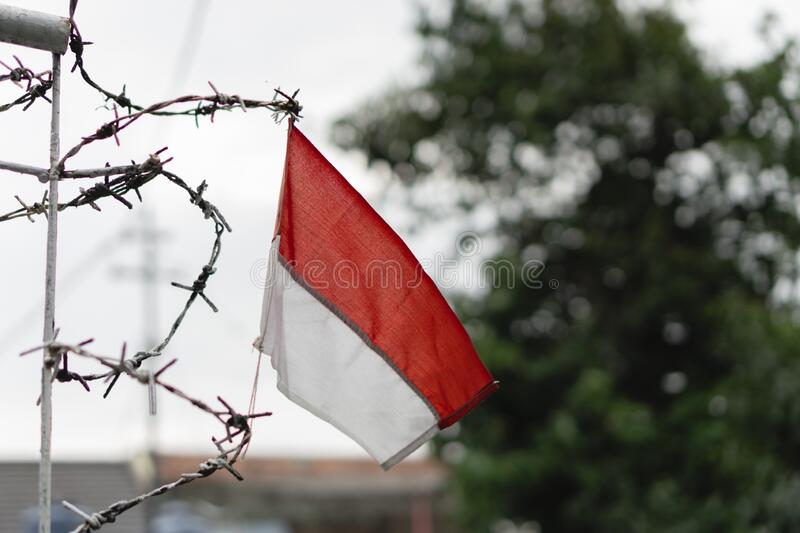 Detail Foto Profil Bendera Merah Putih Nomer 51