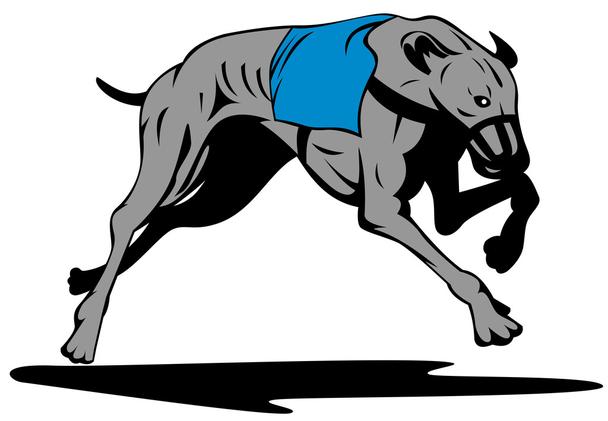 Detail Galgo Vector Nomer 13
