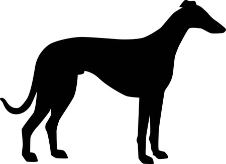 Detail Galgo Vector Nomer 15