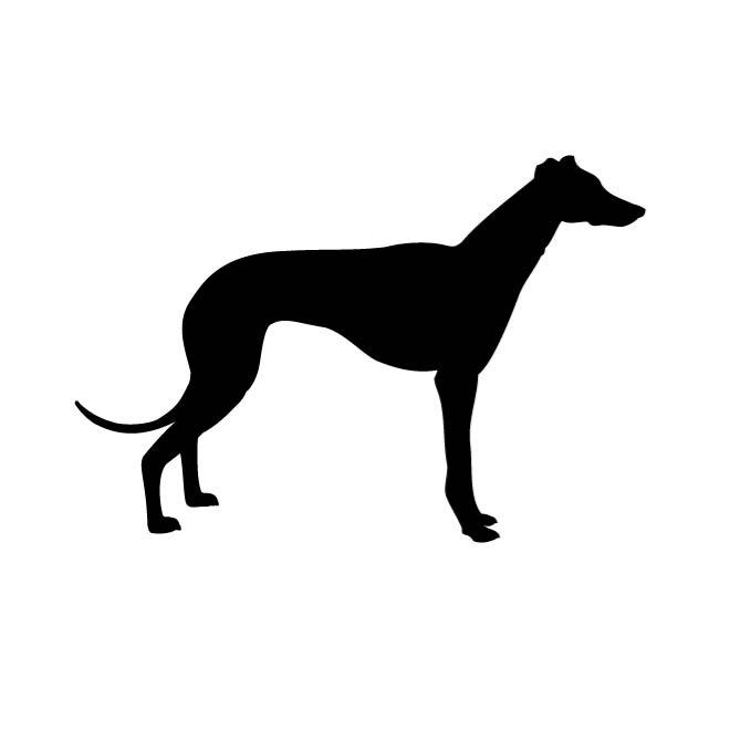 Detail Galgo Vector Nomer 2