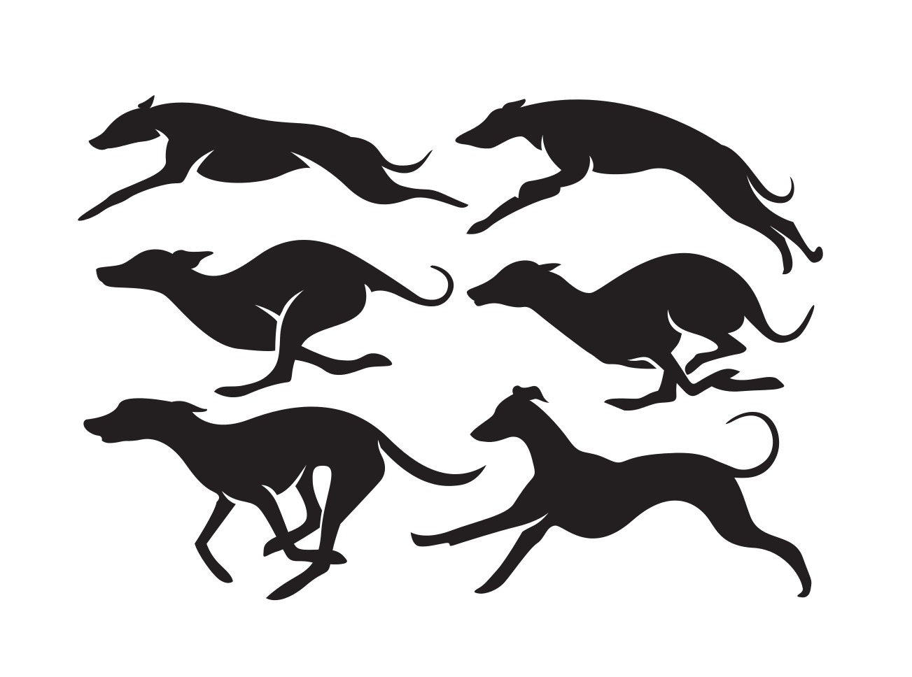 Detail Galgo Vector Nomer 3