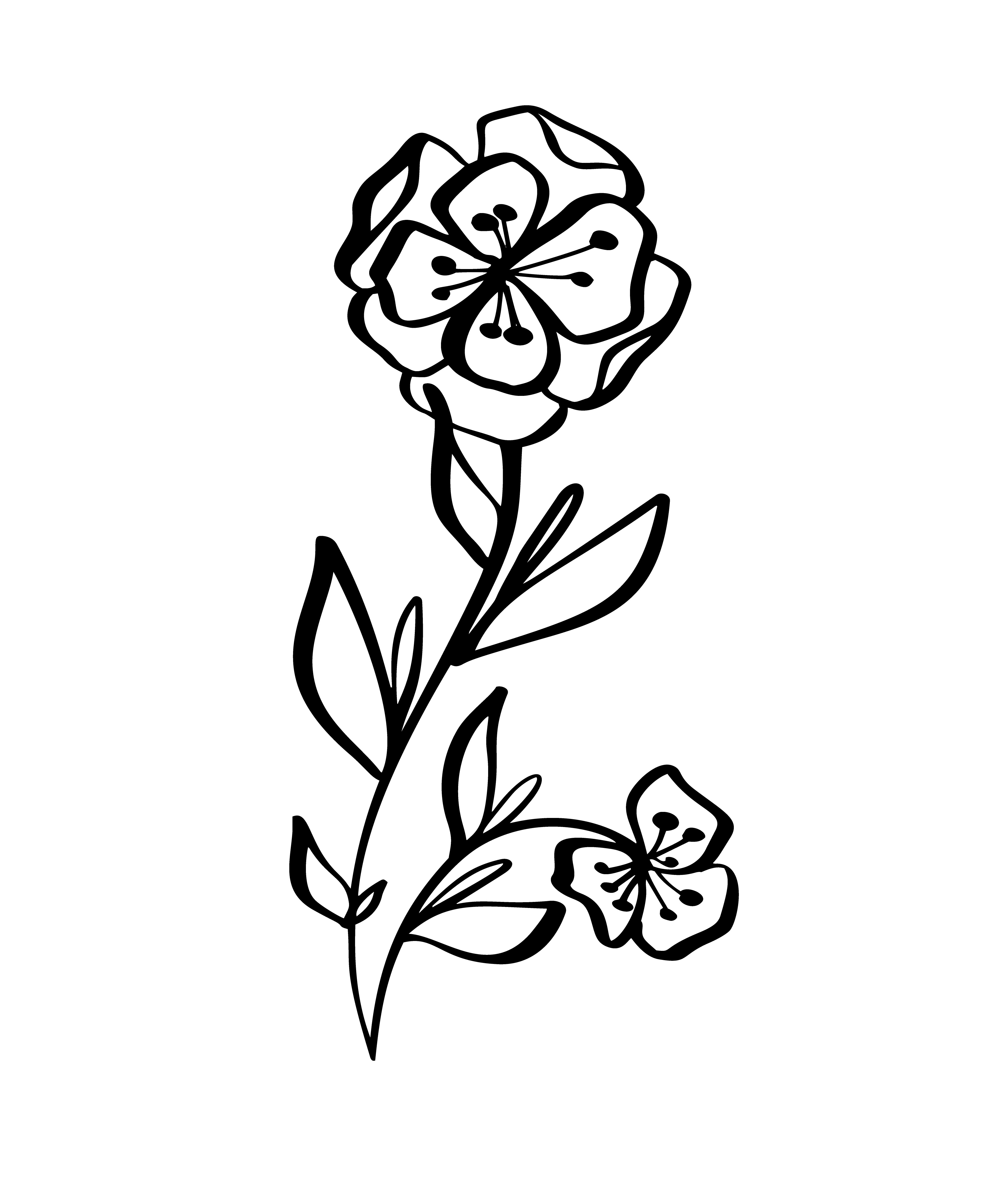 Detail Blumenmuster Zeichnen Nomer 17