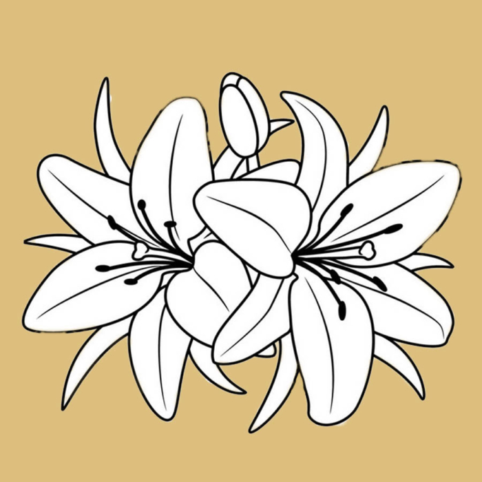 Detail Blumenmuster Zeichnen Nomer 19