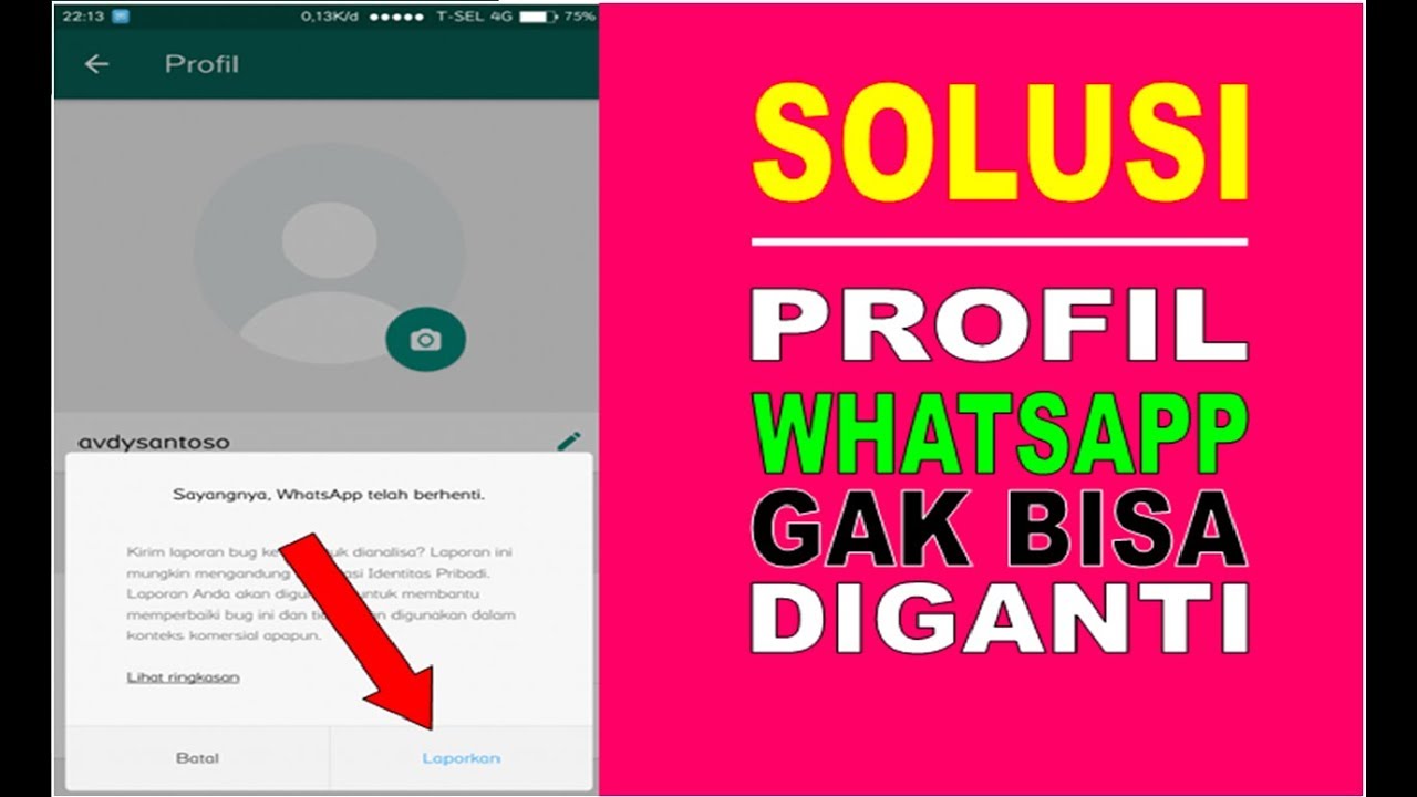 Foto Profil Wa Tidak Bisa Diganti - KibrisPDR