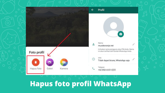 Detail Foto Profil Wa Tidak Bisa Diganti Nomer 19