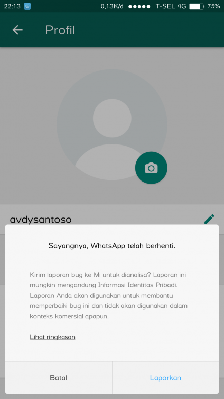 Detail Foto Profil Wa Tidak Bisa Diganti Nomer 3