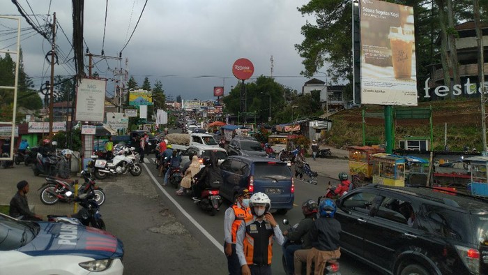 Detail Foto Puncak Bogor Nomer 25