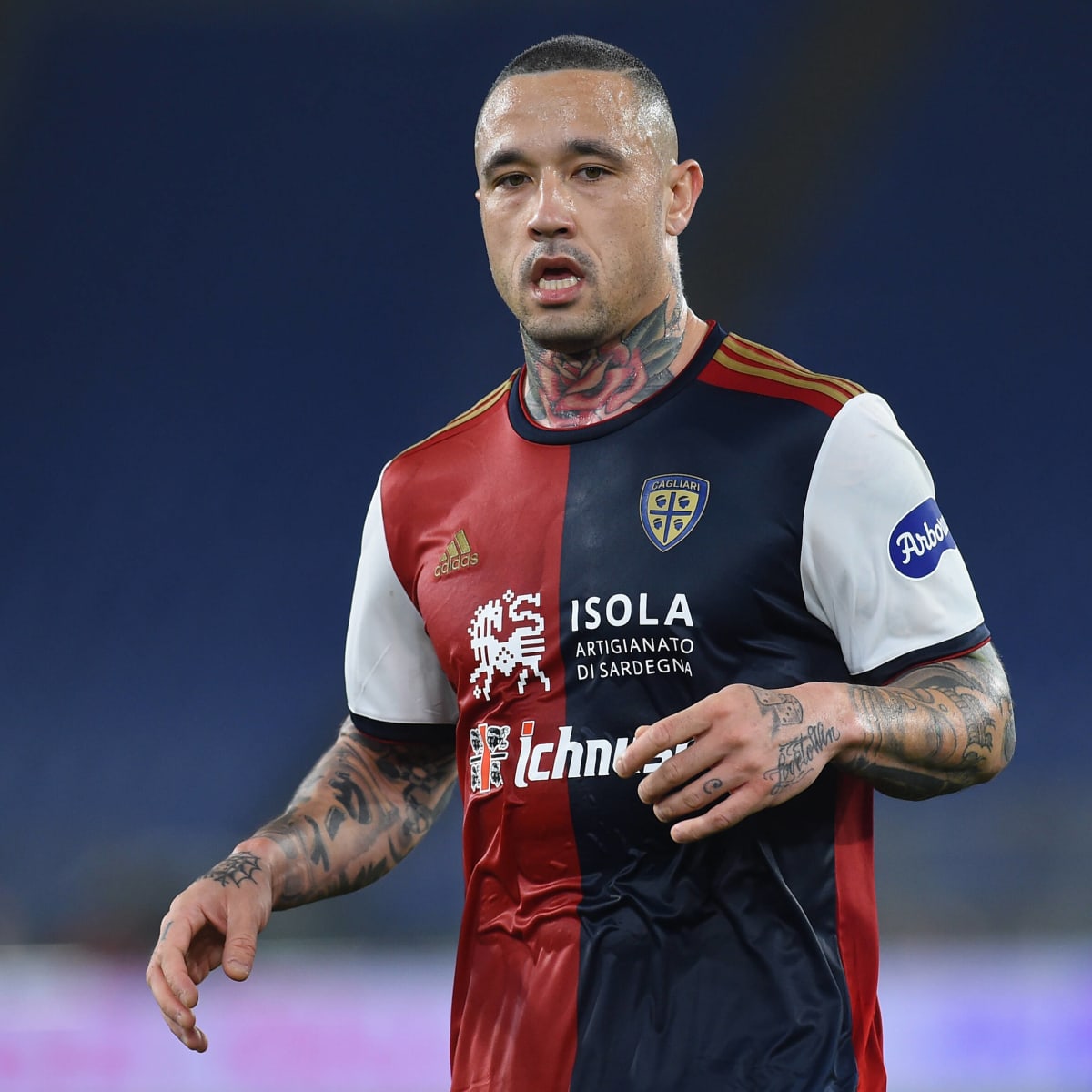 Detail Foto Radja Nainggolan Nomer 9