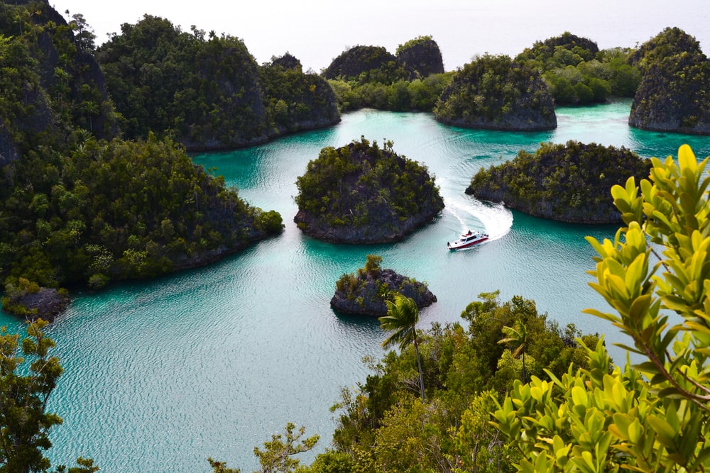 Detail Foto Raja Ampat Nomer 7