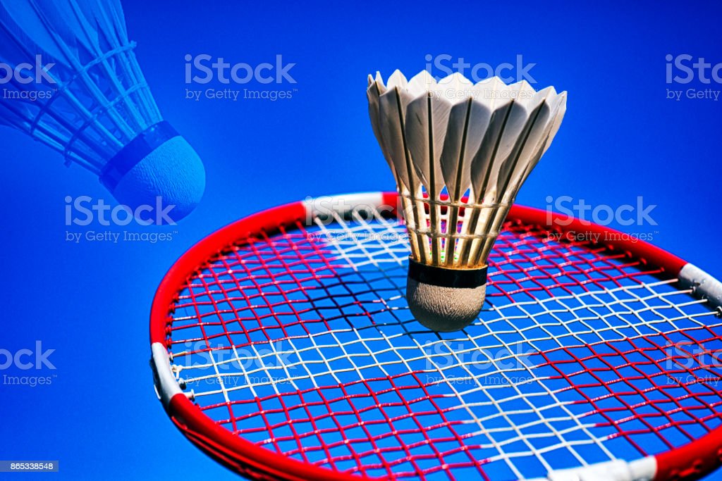 Detail Foto Raket Badminton Nomer 3