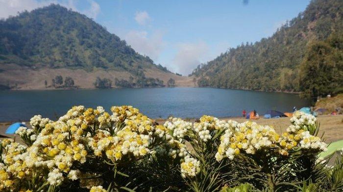 Detail Foto Ranu Kumbolo Semeru Nomer 5