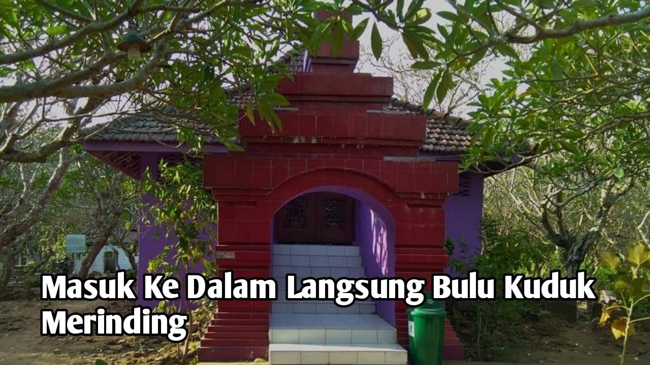 Detail Foto Ratu Kencana Wungu Nomer 34