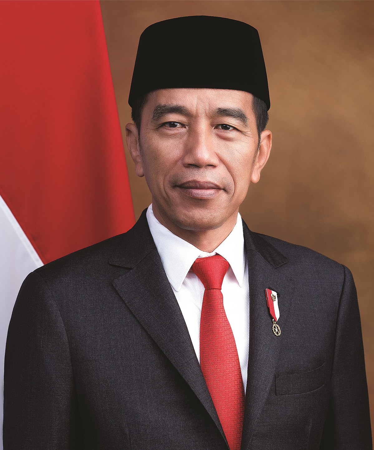 Detail Foto Resmi Jokowi Nomer 19