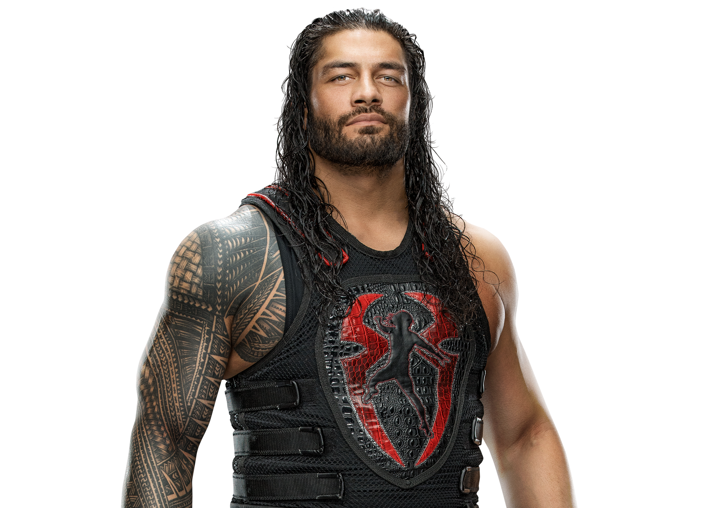 Detail Foto Roman Reigns Nomer 8