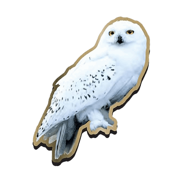 Detail Hedwig Harry Potter Eule Nomer 6