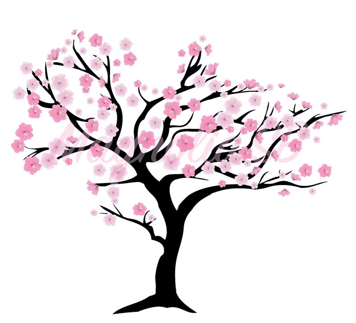 Detail Anime Sakura Tree Nomer 16