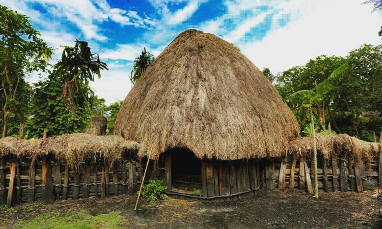 Detail Foto Rumah Adat Papua Nomer 16