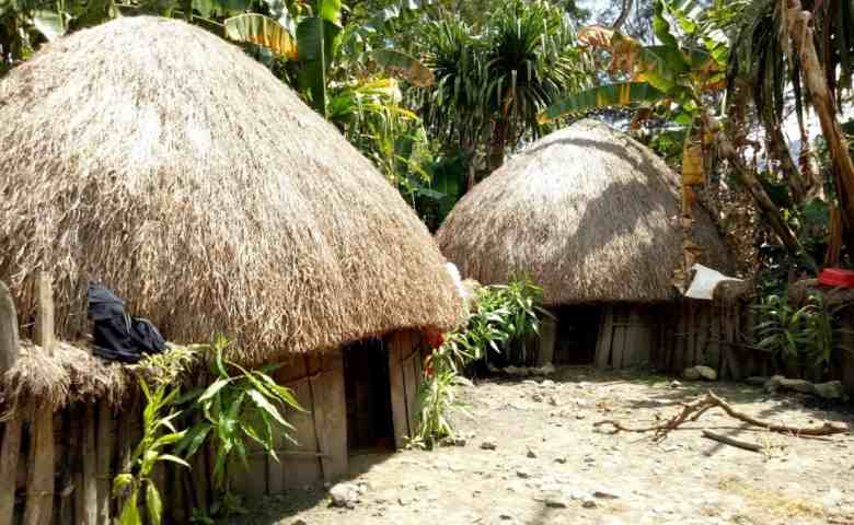 Detail Foto Rumah Adat Papua Nomer 44