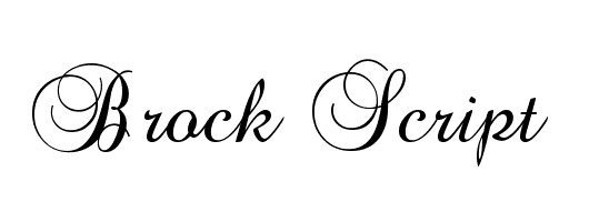 Detail Schriftart Unterschrift Word Nomer 2