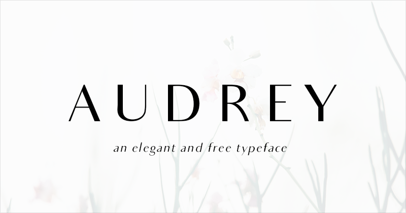 Detail Schriftart Unterschrift Word Nomer 4