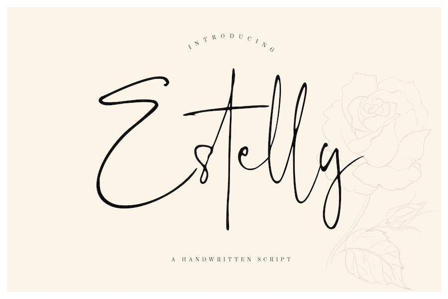 Detail Schriftart Unterschrift Word Nomer 7