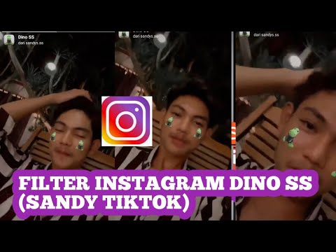 Detail Foto Sandy Tik Tok Instagram Nomer 47