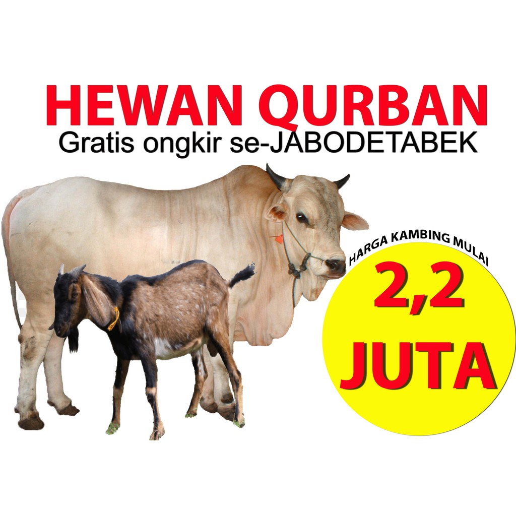 Detail Foto Sapi Dan Kambing Qurban Nomer 13