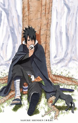 Detail Foto Sasuke Shippuden Nomer 41