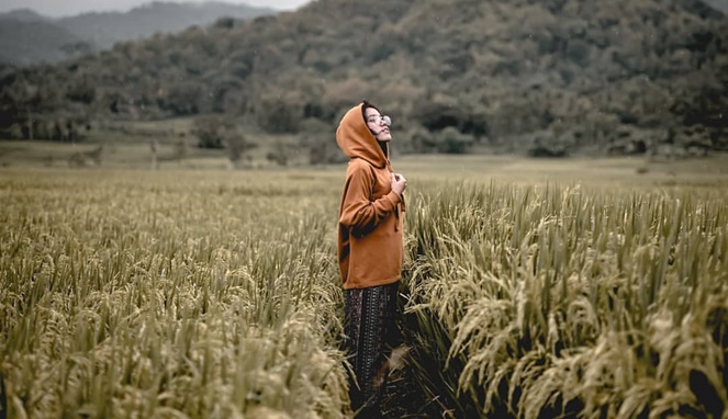 Detail Foto Sawah Keren Nomer 12