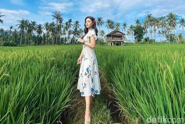 Detail Foto Sawah Keren Nomer 13