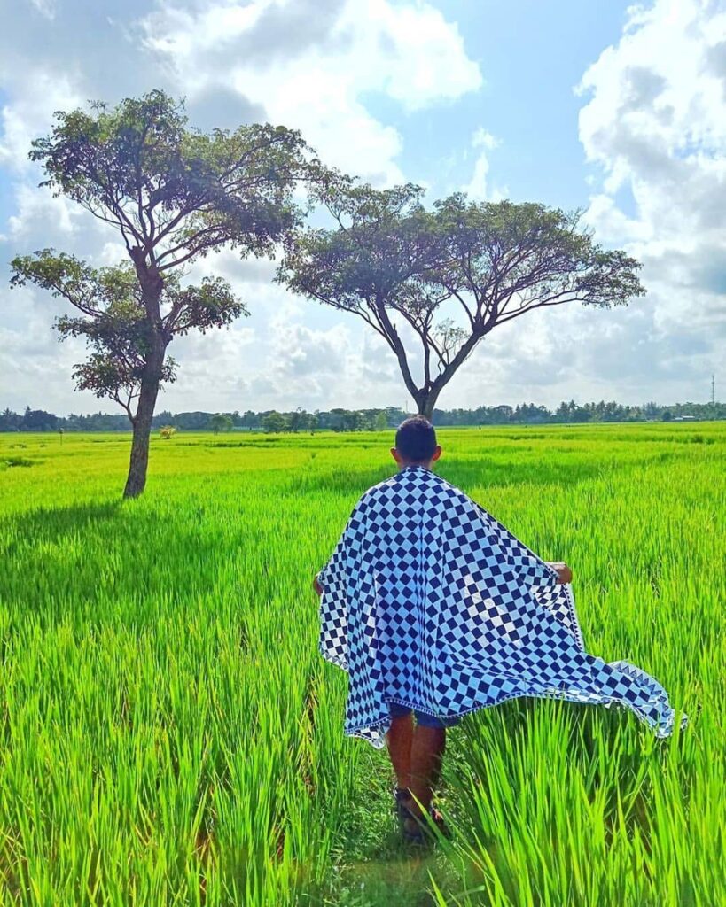 Detail Foto Sawah Keren Nomer 6