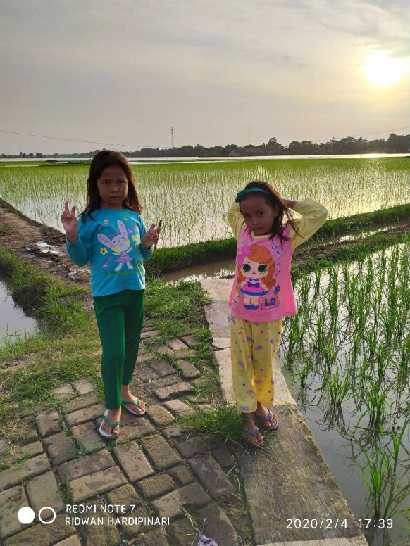 Detail Foto Sawah Yang Indah Nomer 15