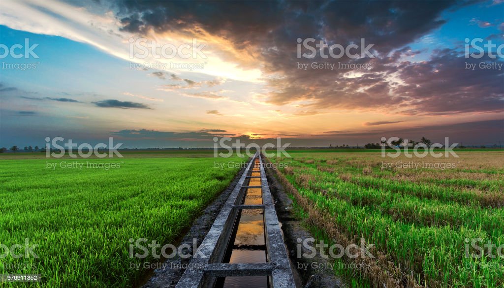 Detail Foto Sawah Yang Indah Nomer 46