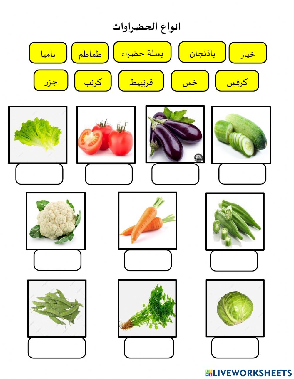 Detail Foto Sayur Sayuran Nomer 24
