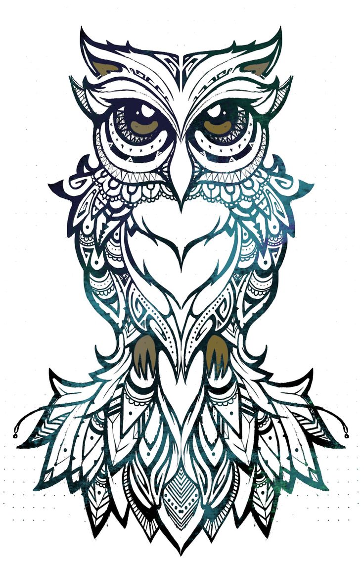 Detail Tattoo Eule Nomer 4