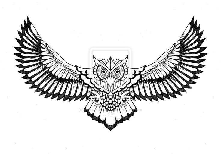 Detail Tattoo Eule Nomer 8