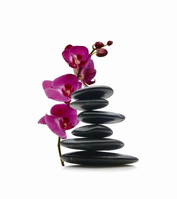 Detail Zen Steine Nomer 11