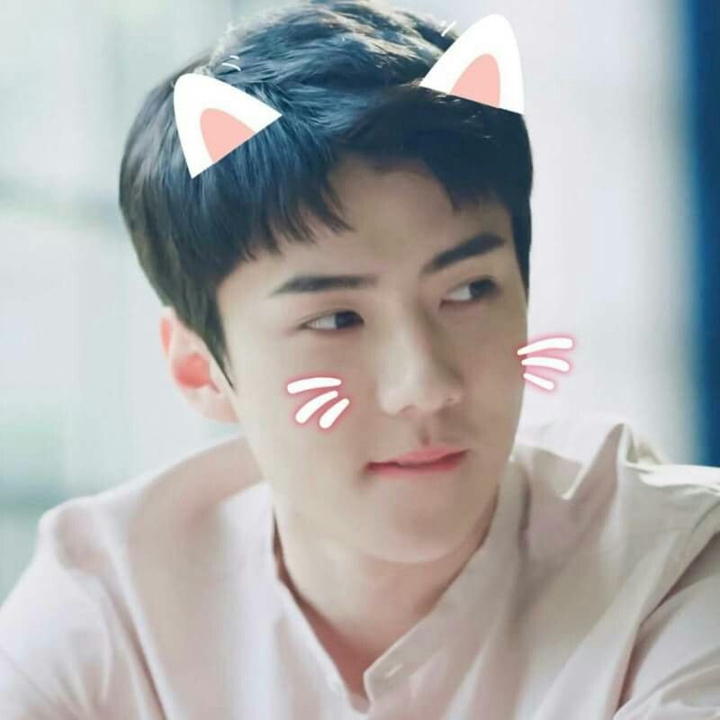 Detail Foto Sehun Exo Cute Nomer 6